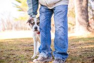 Understanding Dog Body Language Beyond Chew Time: Strengthen Your Bond by Learning How Dogs Truly Communicate