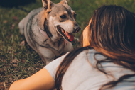 Love Your Dog! Seven Ways To Boost Connection, Trust, and Bonding With Your Dog | Choose Bully Sticks