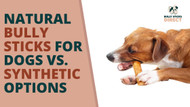 Stickin' to the Facts: Natural Bully Sticks for Dogs vs. Synthetic Options