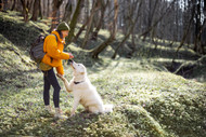 Springtime Snacking: Fueling Your Dog's Outdoor Adventures with Bully Sticks