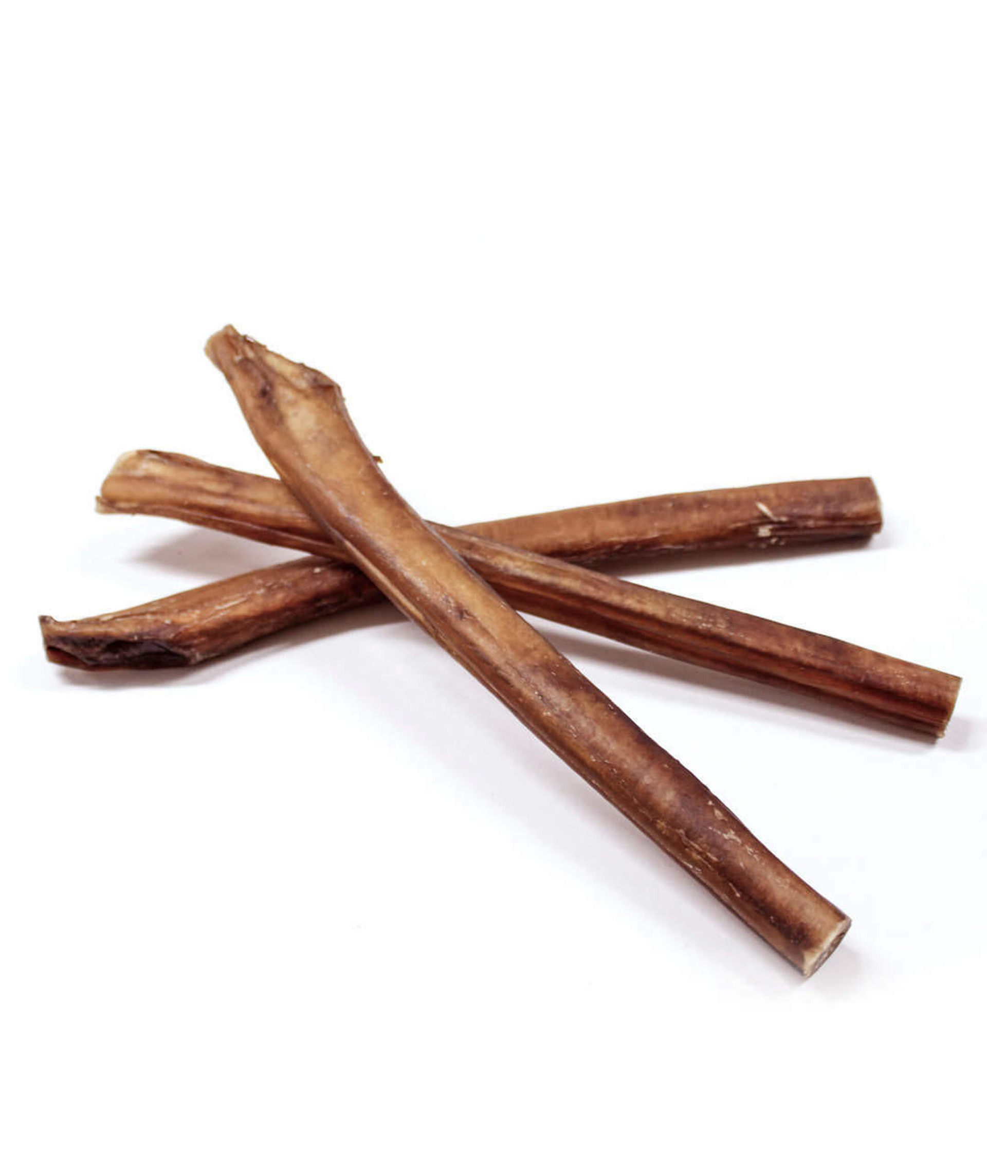 Keeping Your Puppy Busy: The Benefits of Bully Sticks — Golden