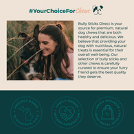 Bully Sticks Direct 4-5" BULLY STICKS - ODOR FREE!! _ABOUT