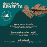 Bully Sticks Direct Goose (Geese) Strips - 25 Pack 