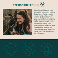 Bully Sticks Direct Goose (Geese) Cubes (10.58oz / 300g) 