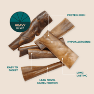 Bully Sticks Direct Camel Skin - 25 Pack  