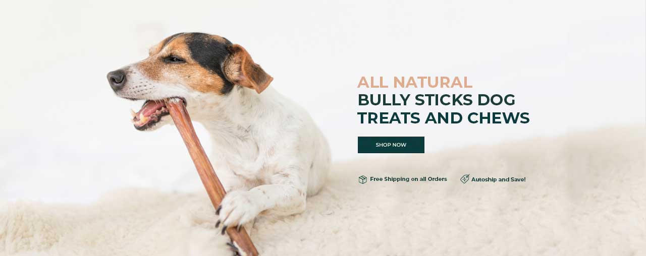 How Many Bully Sticks Can I Give My Dog