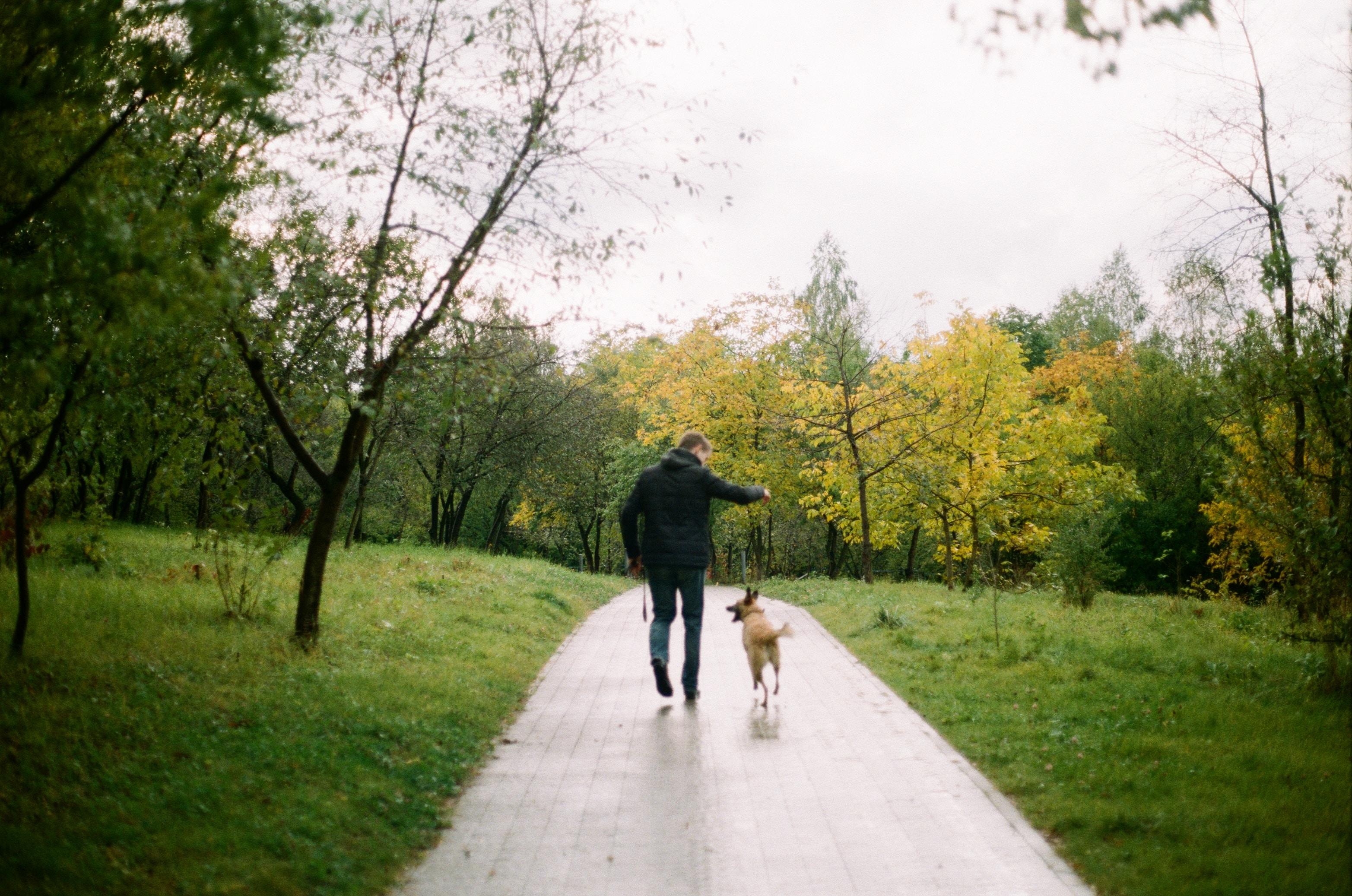 How to Keep Your Dog Busy When the Kids Go Back to School