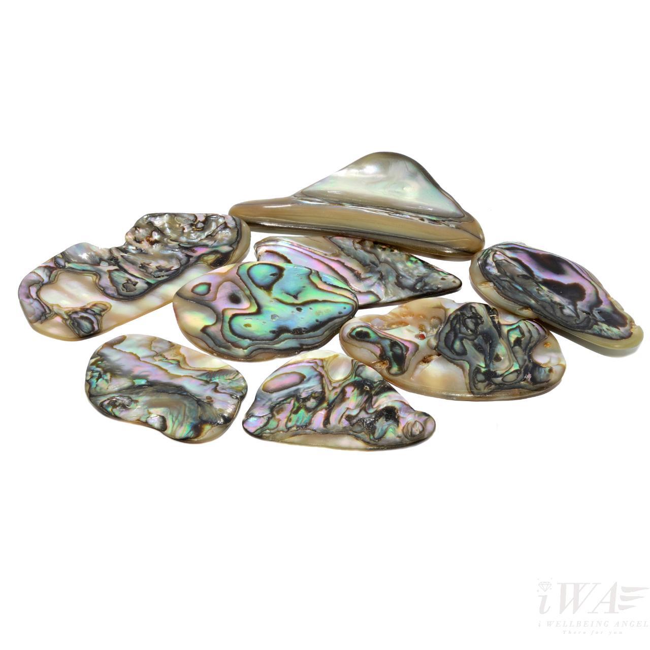Abalone Shell jewellery collection