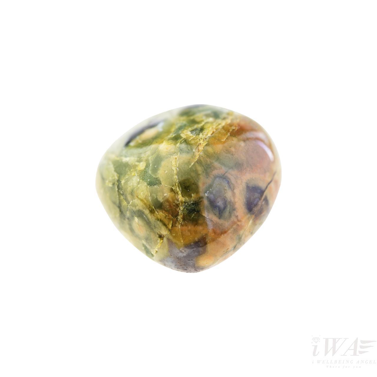 Rainforest Jasper Crystal Gemstone 
