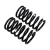ARB / OME Coil Spring Rear Rav4 Lwb To 00 - 2794 Photo - out of package