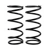ARB / OME Coil Spring Rear P/Find R50 - 2922 Photo - Primary
