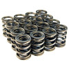 BLOX Racing Valve Springs for B18A-B / B20 (1.8L-2.0L DOHC) - BXPT-10302 User 1