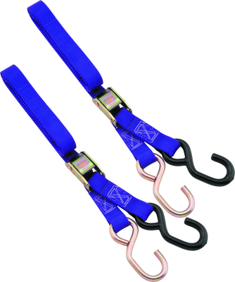 BikeMaster 1in Tiedown - Purple - 100512 Photo - Primary