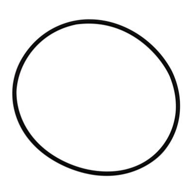 Wehrli S400 Compressor Outlet O-Ring Seal - WCF203-21 User 1