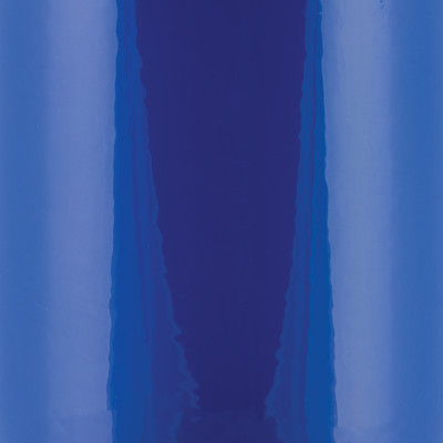 Wehrli 04.5-07 Cummins 5.9L Coolant Tank (OEM Placement) - Bengal Blue - WCF100542-BB User 1