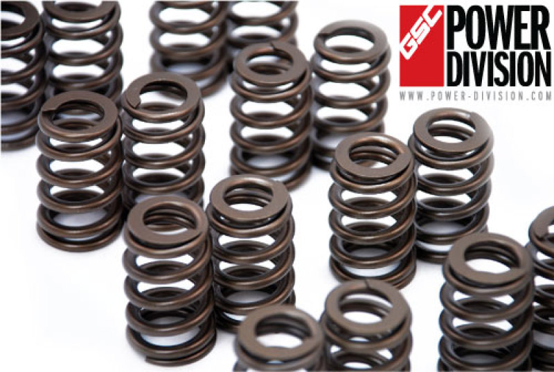 GSC P-D 4G63T EVO 8-9 Stage 1 Beehive Valve Springs (Use Factory Retainers and Spring Seats) - 5039