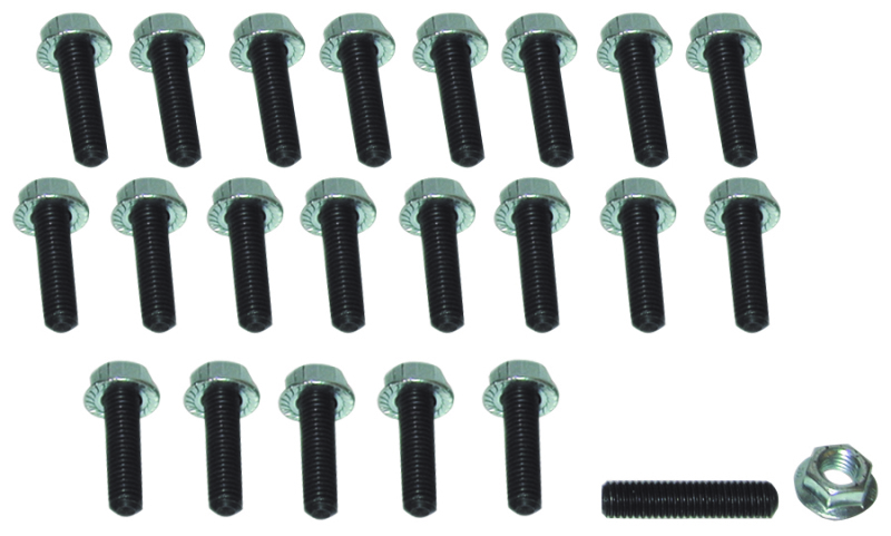 Moroso Honda/Acura/Mazda Rotary/Dodge Neon/Toyota MR2 Oil Pan Stud Kit - 6mm - Steel - Set of 22 - 38366