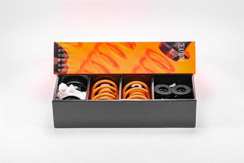 MSS 20-22 Audi A3 / S3 / RS3 Track Fully Adjustable Kit - 03AAUDA38Y