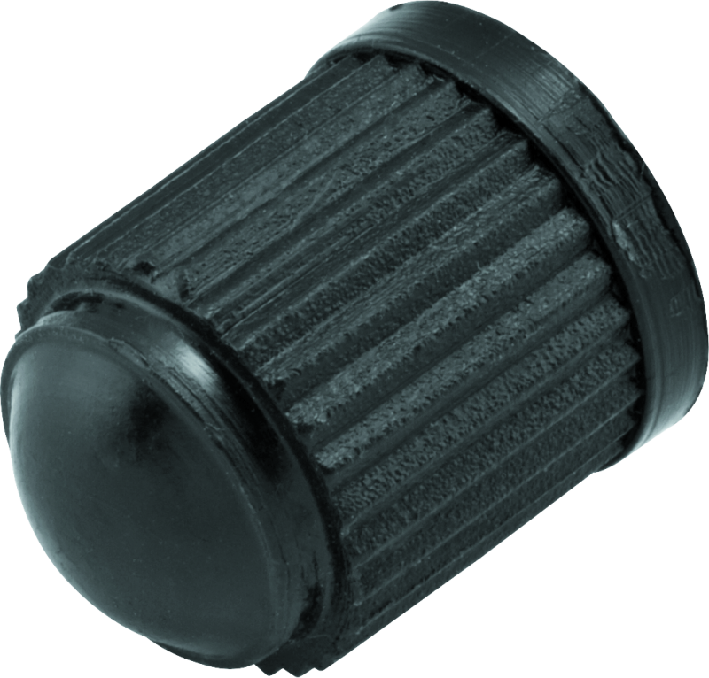 BikeMaster Valve Caps Plastic 100/Pk - 151696