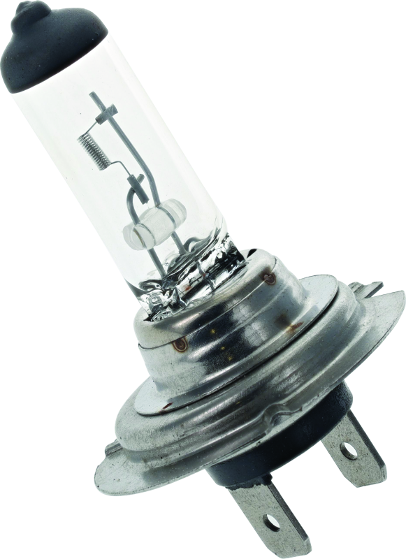BikeMaster H-7 Halogen Bulb - 153469 BikeMaster H-7 Halogen Bulb - 153469