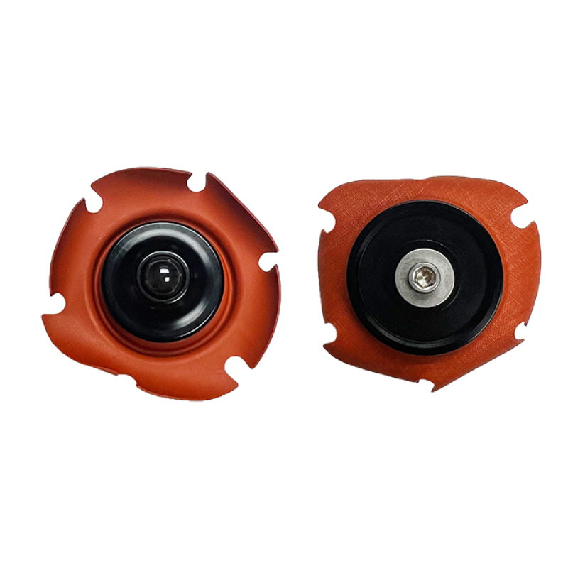 Snow Performance Standard Regulator Rebuid Kit - SNF-10000R