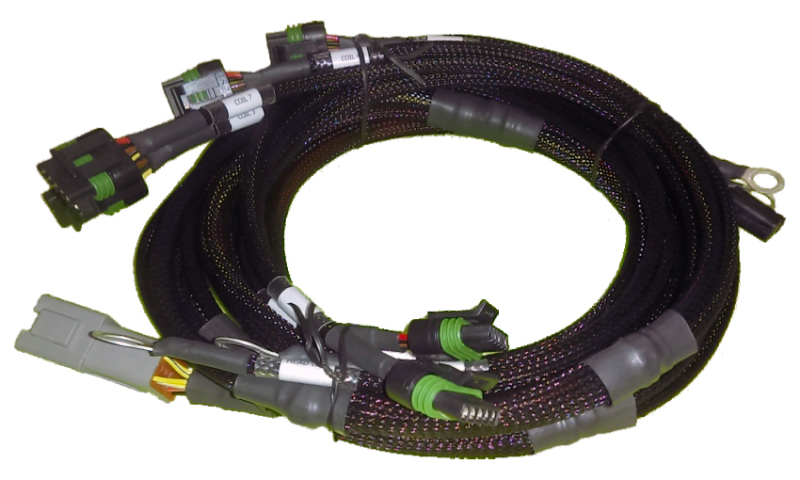 Haltech 8 Channel Individual High Output IGN-1A Inductive Coil Harness - HT-130311