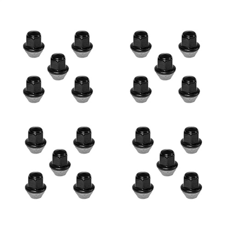 Ford Racing 15-18 Mustang Black Lug Nut Kit (20 Lug Nuts) - M-1012K-MB