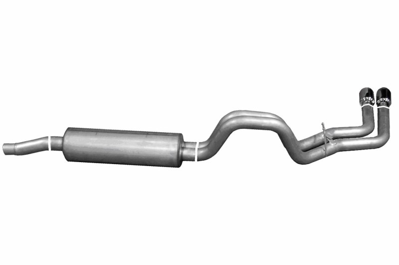 Gibson 02-03 Dodge Dakota SLT 3.9L 2.5in Cat-Back Dual Sport Exhaust - Stainless - 66204