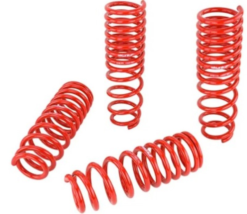 Skunk2 92-95 Honda Civic/Del Sol Lowering Springs (2.50in - 2.25in.) (Set of 4) - 519-05-0005