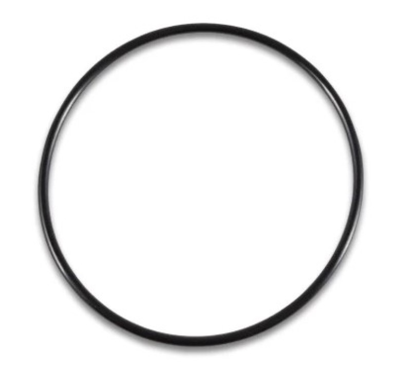 Vibrant Replacement O-Ring for Part #14942 - 14942R