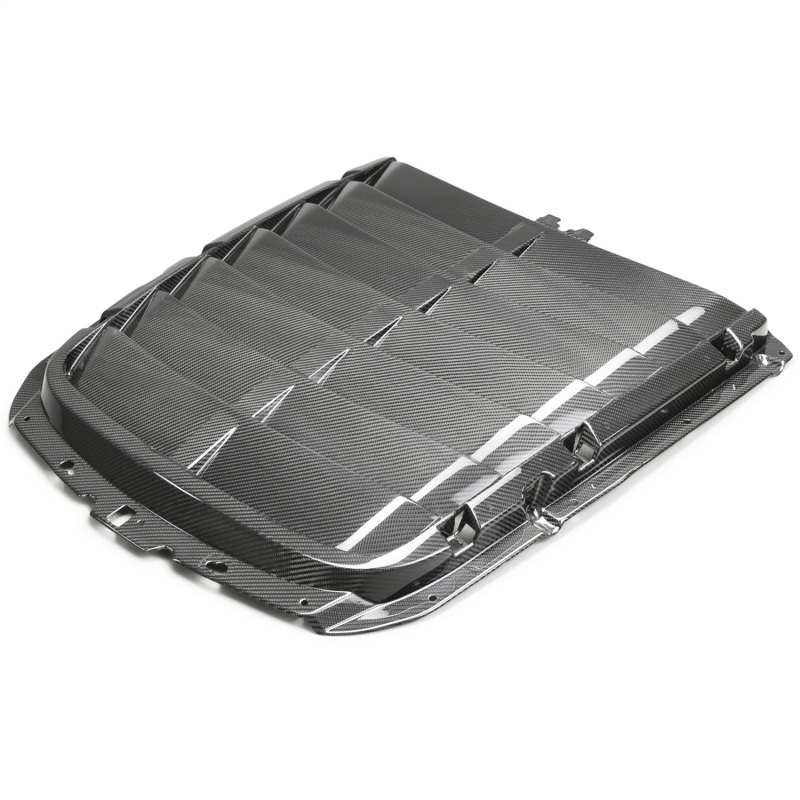 Ford Racing 20-22 Mustang GT500 Carbon Fiber Hood Vent Kit - M-16612-C20