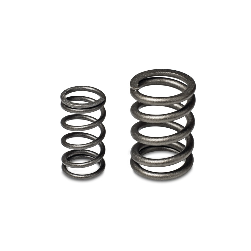 Skunk2 Tuner Series Honda/Acura (B16A/ B17A/ B18C) DOHC VTEC Alpha Valve Spring Set (Dual Springs) - 311-05-1350