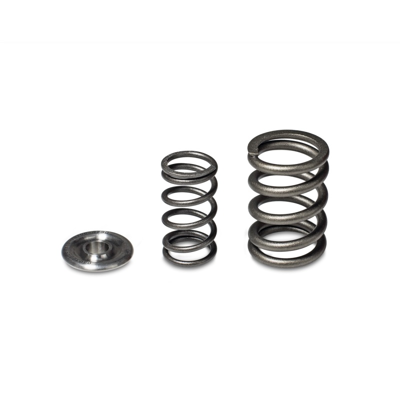 Skunk2 Alpha Series Honda/Acura H Series Valve Spring and Titanium Retainer Kit - 344-05-1360