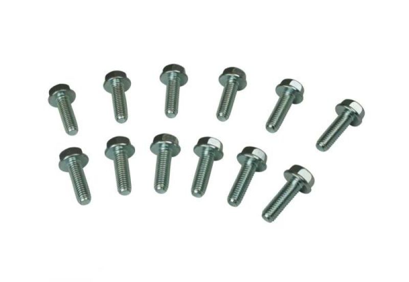 Moroso GM LS Header Bolts - 38711