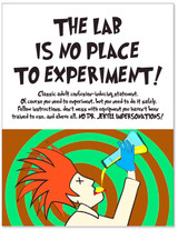 The Lab is No Place to Experiment Lab Safety Poster. 