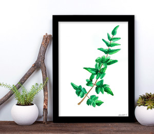 West Virginia Botanicals Watercolor Fern Plant Fine Art Print. West Virginia Botanicals Watercolor Fern Plant Fine Art Print.