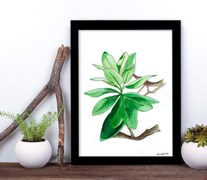 West Virginia Botanicals Watercolor Rhododendron Leaves Fine Art Print. West Virginia Botanicals Watercolor Rhododendron Leaves Fine Art Print.