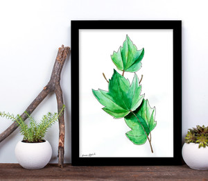 West Virginia Botanicals Watercolor Red Maple Leaves Fine Art Print. West Virginia Botanicals Watercolor Red Maple Leaves Fine Art Print.