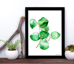 West Virginia Botanicals Watercolor Greenbrier Leaves Fine Art Print. West Virginia Botanicals Watercolor Greenbrier Leaves Fine Art Print.