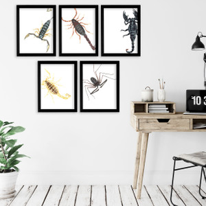 Scorpions Gallery Wall Elementary and Middle School Scientific Classroom Poster Bundle Scorpions Gallery Wall Elementary and Middle School Scientific Classroom Poster Bundle