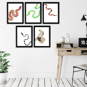 Snakes Gallery Wall Elementary and Middle School Scientific Classroom Poster Bundle Snakes Gallery Wall Elementary and Middle School Scientific Classroom Poster Bundle