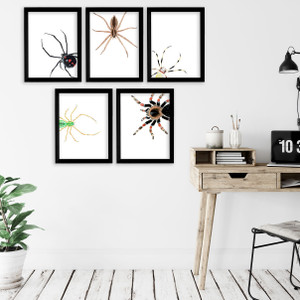 Spiders Gallery Wall Elementary and Middle School Scientific Classroom Poster Bundle Spiders Gallery Wall Elementary and Middle School Scientific Classroom Poster Bundle