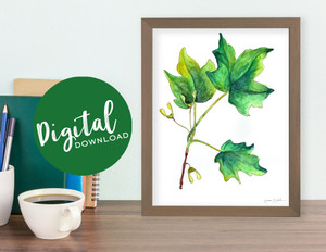 West Virginia Botanicals Watercolor Sugar Maple Leaves Plant Fine Art Print. DIGITAL DOWNLOAD