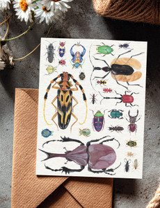 Bugs and Kisses Valentine Card - Single or 8 Pack