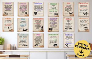 Literary Terms Set of Sixteen DIGITAL DOWNLOAD