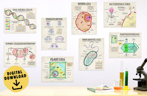 Cellular Structures and Functions Set DIGITAL DOWNLOAD