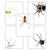 Spiders Gallery Wall Elementary and Middle School Scientific Classroom Poster Bundle