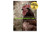 Canterbury Tales Set of Six DIGITAL DOWNLOAD