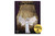 Literary Genres Set of Eight DIGITAL DOWNLOAD