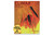 Elements of a Novel Set of Eight DIGITAL DOWNLOAD